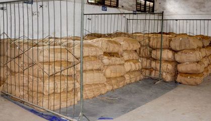 飛仙煙草站穩(wěn)步推進(jìn)均衡收購(gòu)