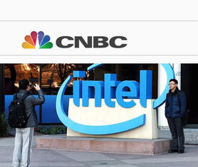 新西蘭政府否決中國(guó)公司收購(gòu)牧場(chǎng)申請(qǐng)